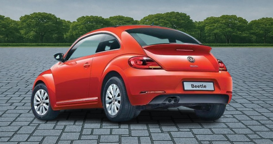 Beetle
