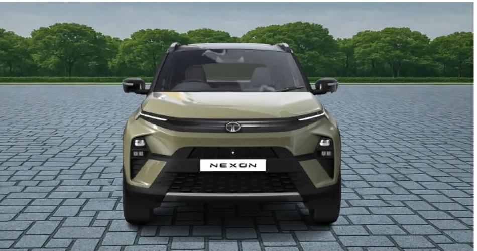 Nexon Pure Plus CNG Image
