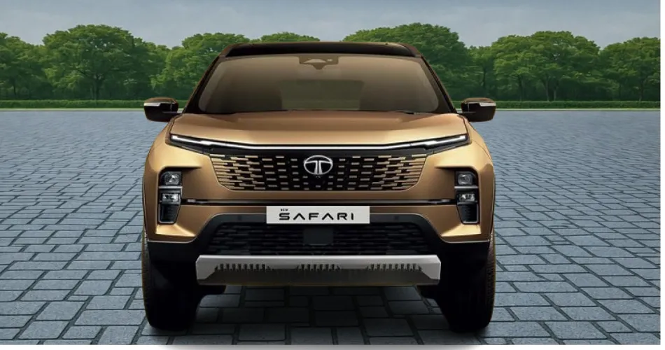 Safari
