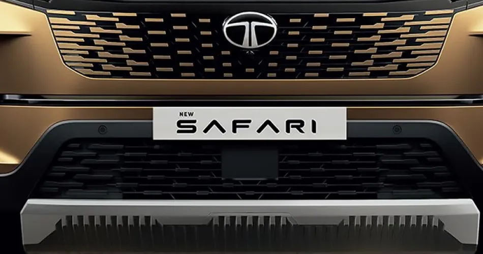 Safari