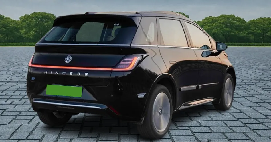 Windsor EV