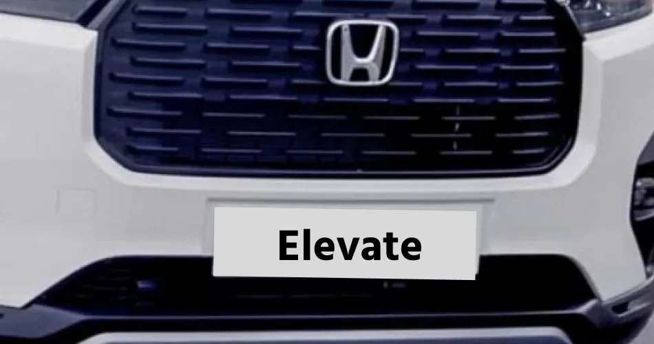 Elevate