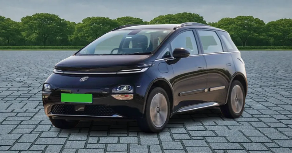 Windsor EV
