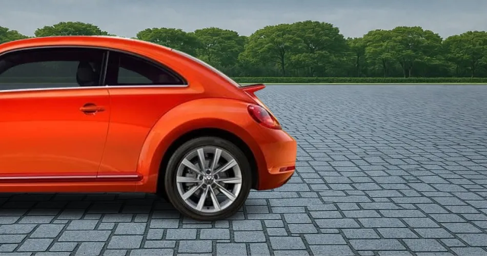 Beetle