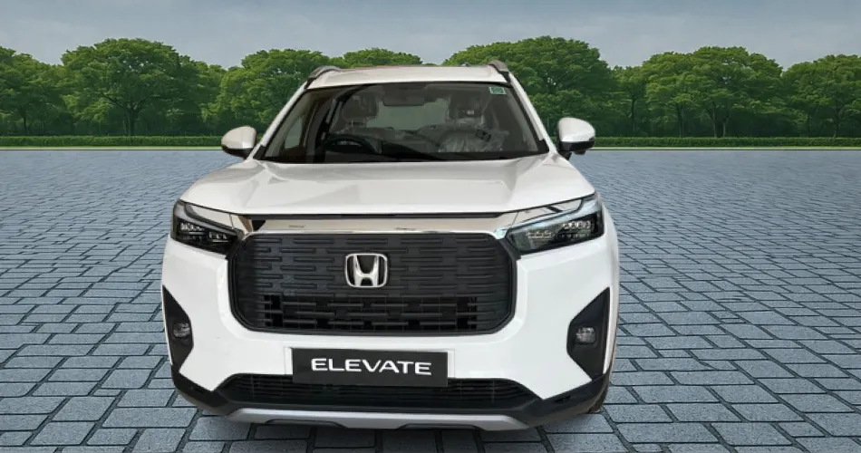 Elevate