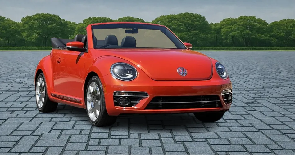 Beetle