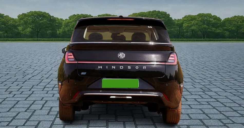 Windsor EV