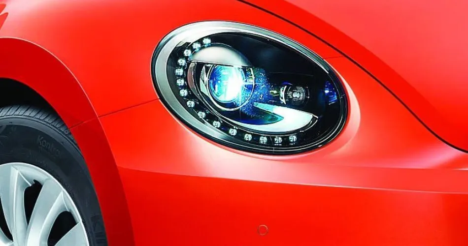 Beetle