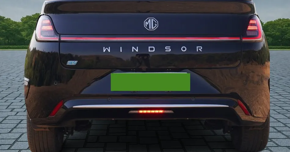 Windsor EV